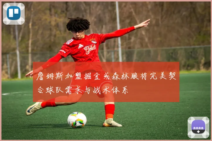 詹姆斯加盟掘金或森林狼将完美契合球队需求与战术体系