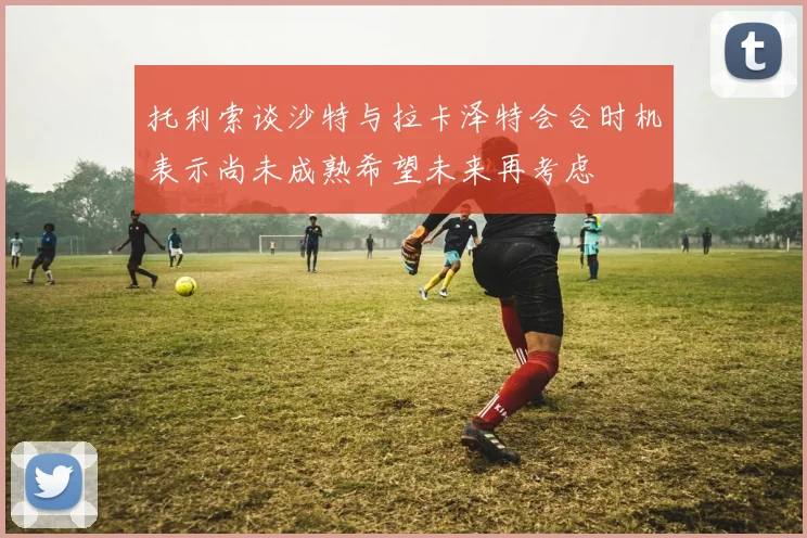 托利索谈沙特与拉卡泽特会合时机表示尚未成熟希望未来再考虑